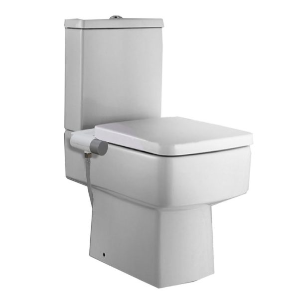 Exemple de bouton de commande pour toilette lavant non électrique